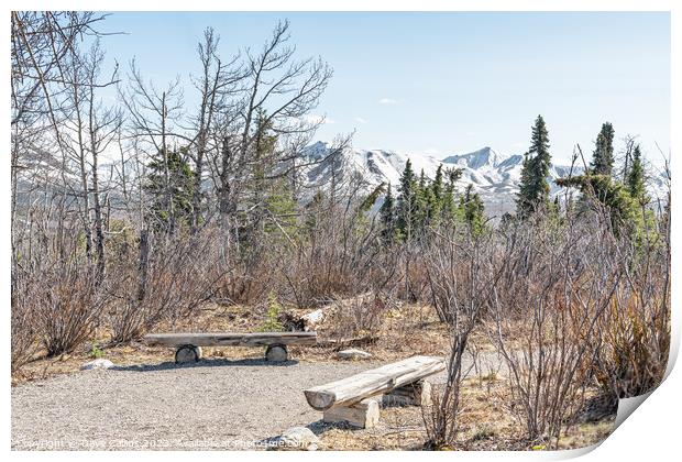 Seats in a rest area of the Savage River Trail in Denali National Park, Alaska, USA Print by Dave Collins
