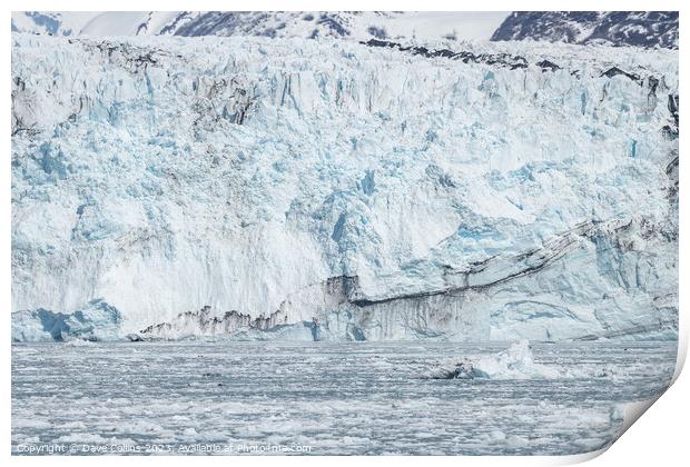 Harvard Tidewater Glacier at the end of College Fjord, Alaska, USA Print by Dave Collins
