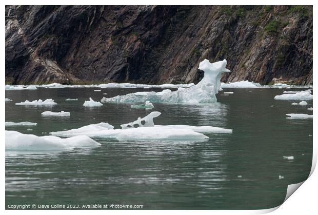 Strangely shaped growlers (little icebergs) floating in Icy Bay in Alaska, USA Print by Dave Collins