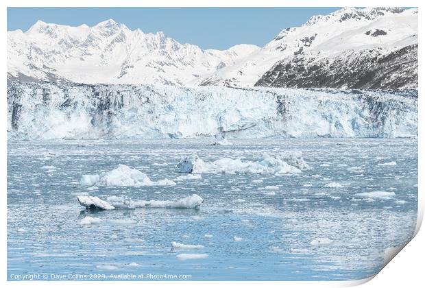 Growlers (small Icebergs) floating on the sea in front of Harvard Tidewater Glacier at the end of College Fjord, Alaska, USA Print by Dave Collins