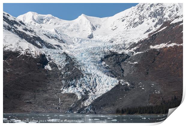 A small Tidal Glacier in College Fjord, Prince William Sound, Alaska, USA Print by Dave Collins