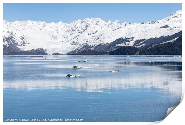 Yale Tidewater Glacier at the end of College Fjord, Alaska, USA Print by Dave Collins