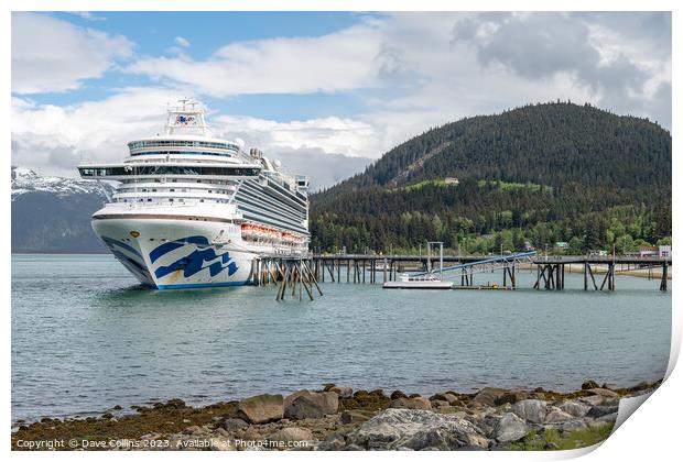 Princess Cruises ship Ruby Princess docked in the Chilkat inlet, Haines, Alaska, USA Print by Dave Collins