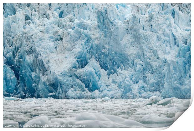 Ice field in front of South Sawyer Glacier Tidewater Glacier at the end of the Tracy Arm, Alaska, USA Print by Dave Collins