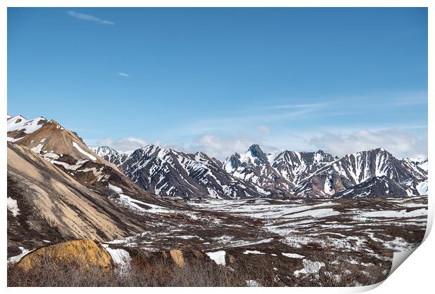 Partly snow covered tundra during spring in Denali National Park, Alaska, USA Print by Dave Collins