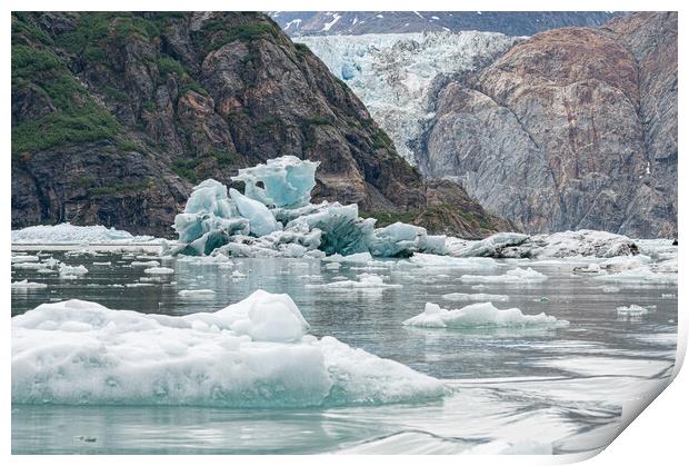 Gowlers (small icebergs) floating in the sea with North Sawyer Glacier in the distance, Tracy Arm Inlet, Alaska, USA Print by Dave Collins