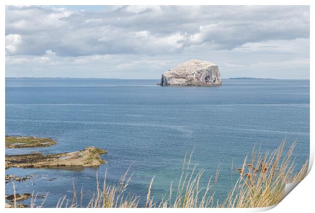 Bass Rock Nature Reserve in the Firth of Forth, Bass Rock, Scotland Print by Dave Collins