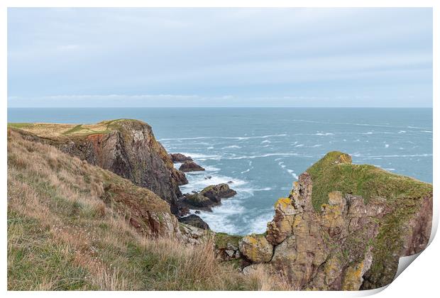 Rocky Shoreline, St Abbs Head, Scottish Borders, Scotland Print by Dave Collins