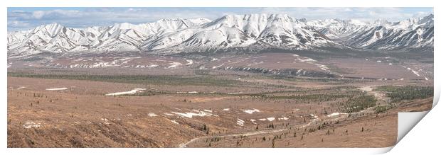 Panorama of Denali National Park from the Savage River Alpine Trail, Alaska, USA Print by Dave Collins