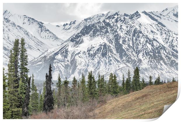 Trees in a Valley with snow covered mountains behind in Alaska, USA Print by Dave Collins