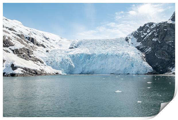 Beloit Tidewater Glacier in Blackstone Bay, Prince William Sound, Alaska, USA Print by Dave Collins