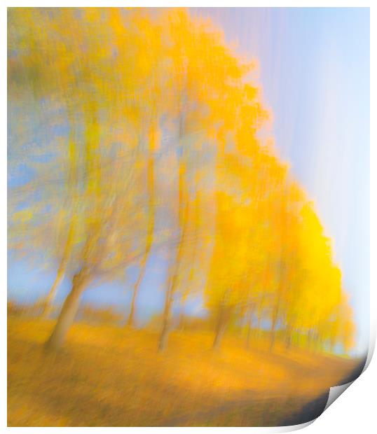 Autum Colours Print by Dave Collins