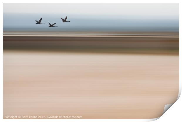 Silhouette Swans Flying - ICM Background Print by Dave Collins