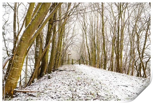 Snow Covered Footpath, Scottish Borders, United Kingdom Print by Dave Collins