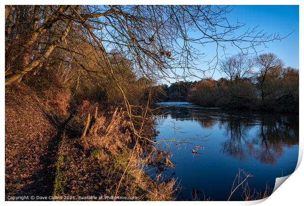 Teviot River at dawn, Scottish Borders, UK Print by Dave Collins