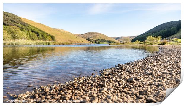 Loch of Lowes, Scotland Print by Dave Collins