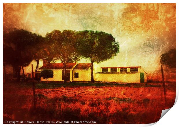 The Old Ranch House Print by Richard Harris
