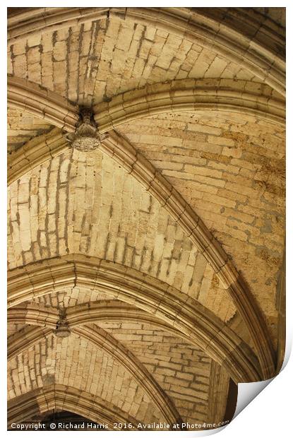 Ceiling of Cloisters, Toledo Cathedral Print by Richard Harris
