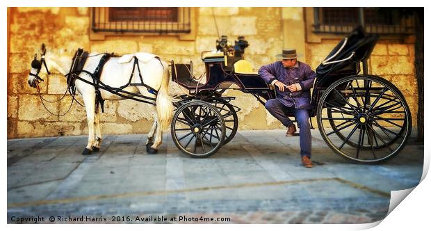 Horse and carriage, Cordoba, Spain Print by Richard Harris