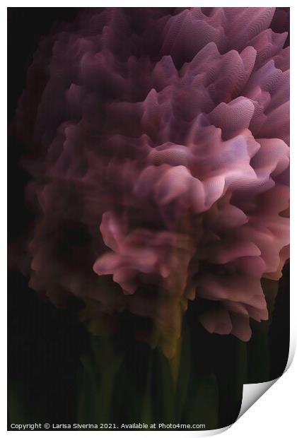 Hyacinth background Print by Larisa Siverina