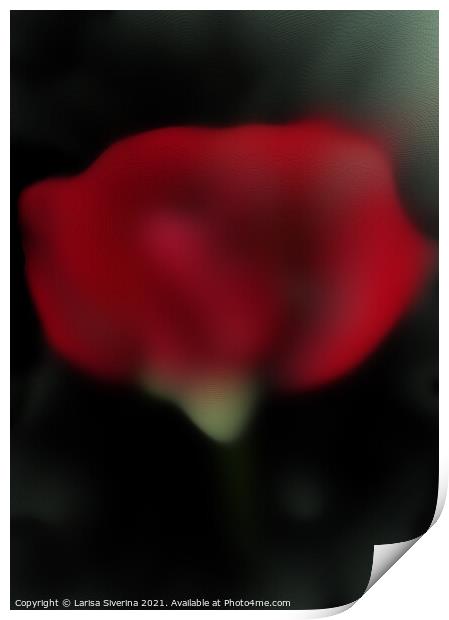 Abstract red rose Print by Larisa Siverina