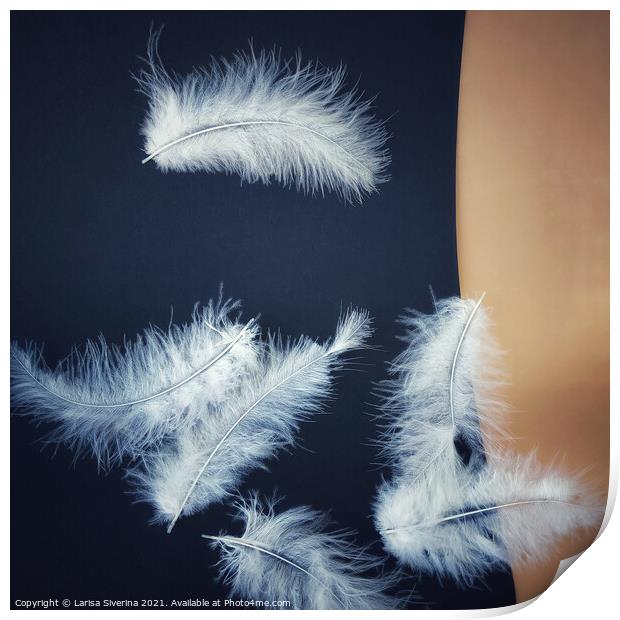 White feathers Print by Larisa Siverina