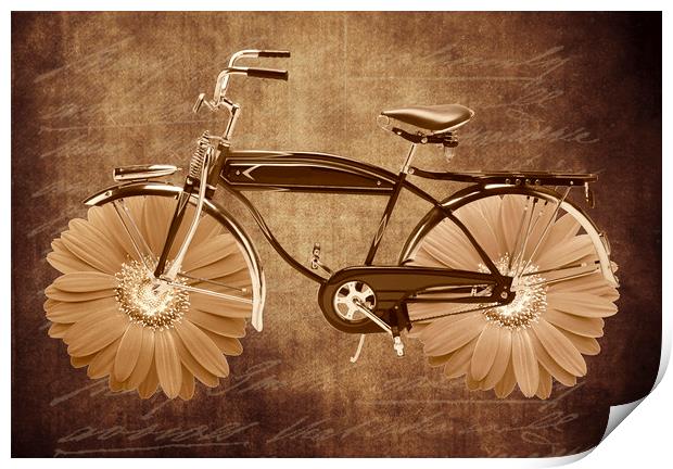 Vintage bicycle Print by Larisa Siverina