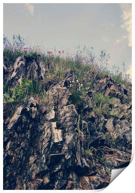 Flowers on the rocks Print by Larisa Siverina