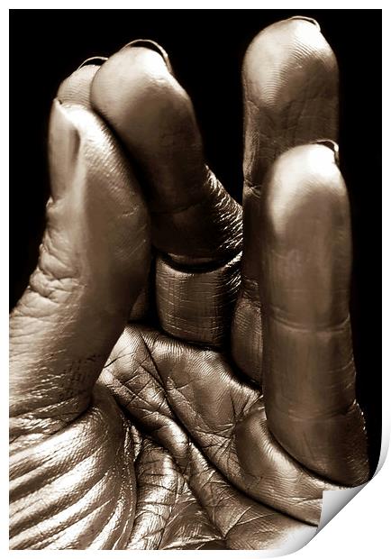 Silver fingers Print by Larisa Siverina