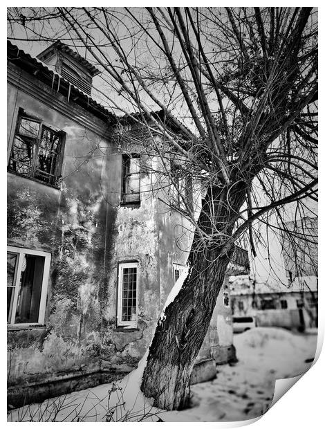 Old tree and house Print by Larisa Siverina