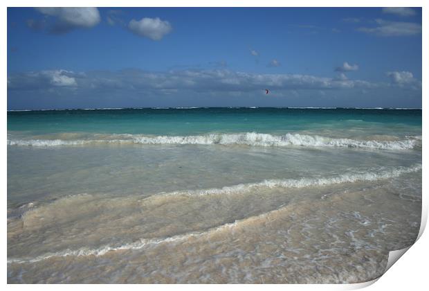 Tulum turquoise beach palm tree in Riviera Maya at Print by Larisa Siverina