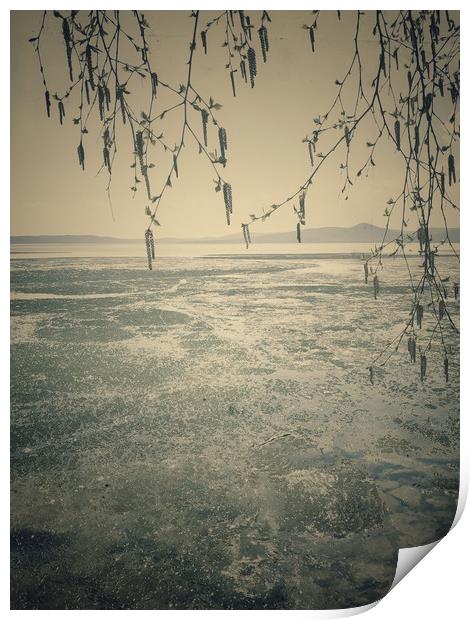 Spring landscape with ice drift on the lake.   Print by Larisa Siverina