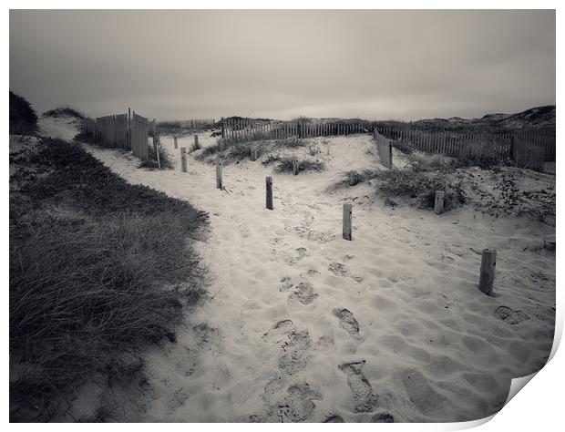 Sand dunes Print by Larisa Siverina