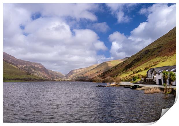 Spring at Talyllyn Lake. Print by Colin Allen