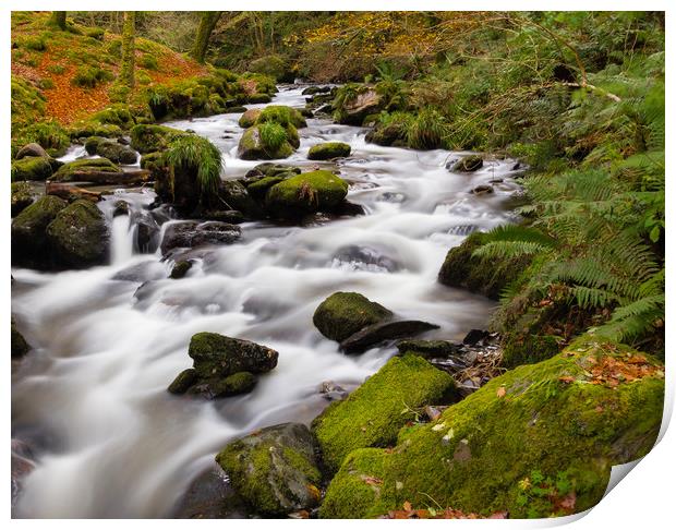 The River at Dolgoch Falls in the Autumn. Print by Colin Allen