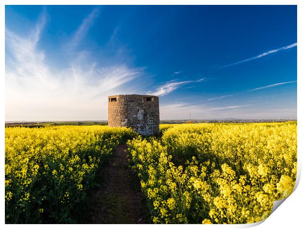 Pillbox at Angle, Pembrokeshire. Print by Colin Allen