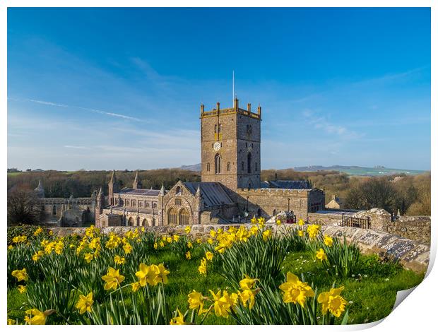 St David's Cathedral, Pembrokeshire, Wales. Print by Colin Allen