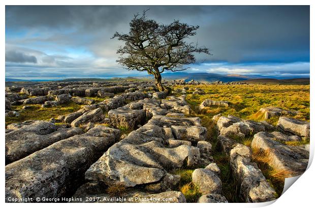 The Lone Tree on the Stones Print by George Hopkins