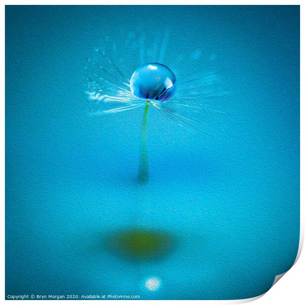 Dandelion and water droplet amongst the swirls Print by Bryn Morgan