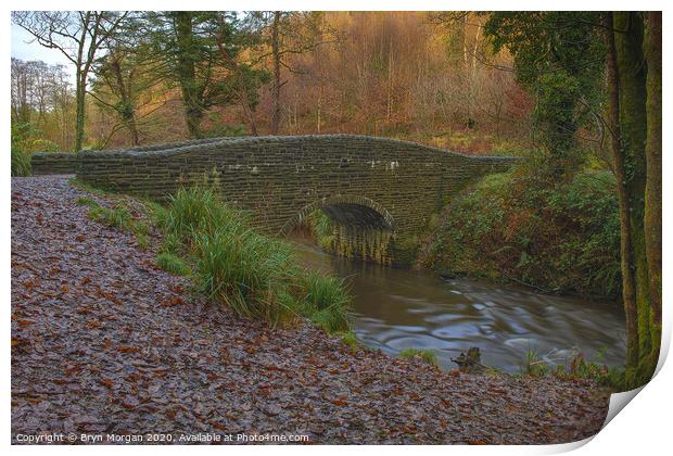 Small bridge at Penllergare valley woods Print by Bryn Morgan