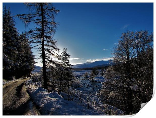     Winters day in glen Muick                      Print by alan todd