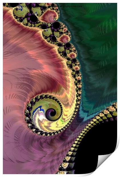 Peacock's Tail Print by Vickie Fiveash