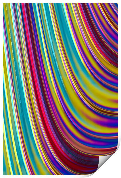 Colour Curve Print by Vickie Fiveash