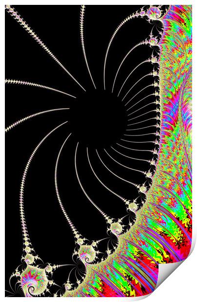 Spider Spectrum Print by Vickie Fiveash