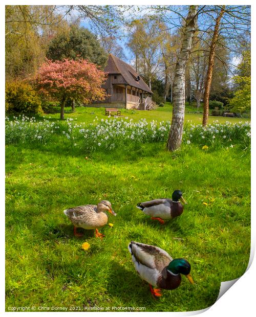 Gardens at Leeds Castle in Kent, UK Print by Chris Dorney