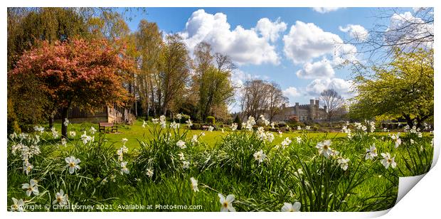 Leeds Castle in Kent, UK Print by Chris Dorney