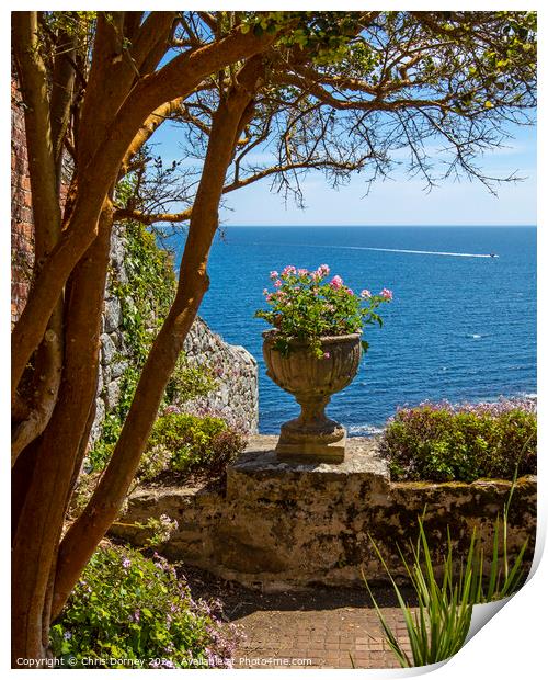 View from the Castle Gardens at St. Michaels Mount in Cornwall Print by Chris Dorney