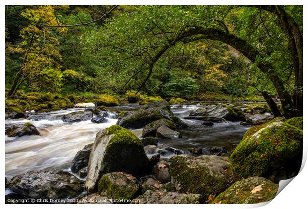 River Braan at the Hermitage in Scotland, UK Print by Chris Dorney