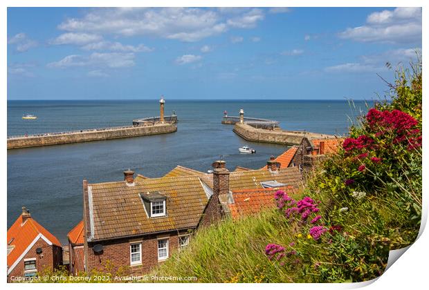 Whitby Harbour Lighthouses in North Yorkshire, UK Print by Chris Dorney