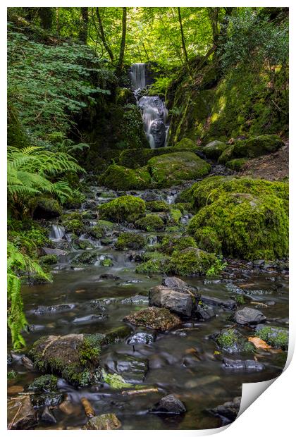Clampitt Falls in South Devon Print by Chris Dorney